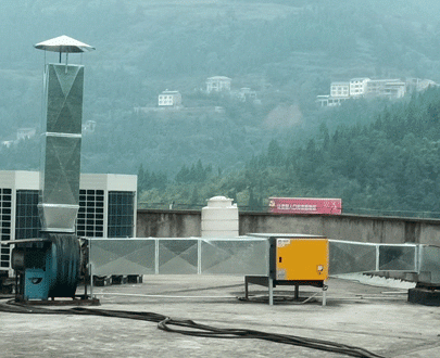 大型廚房妖精视频污下载
