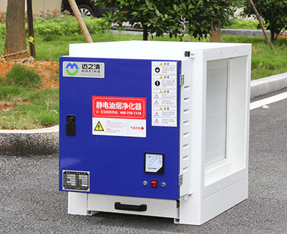 靜電妖精视频污网站