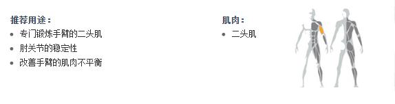 廣州妖精视频污网站健身器材