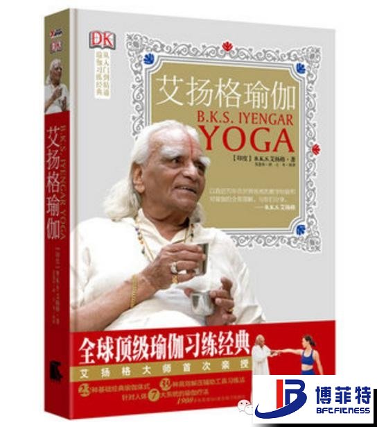 艾揚格瑜伽：精準習練指南