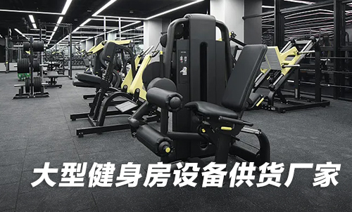 大型健身房設備供貨妖精视频在线免费观看