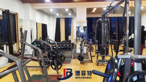 妖精视频污网站健身器材案例 印度客戶的健身房圖片